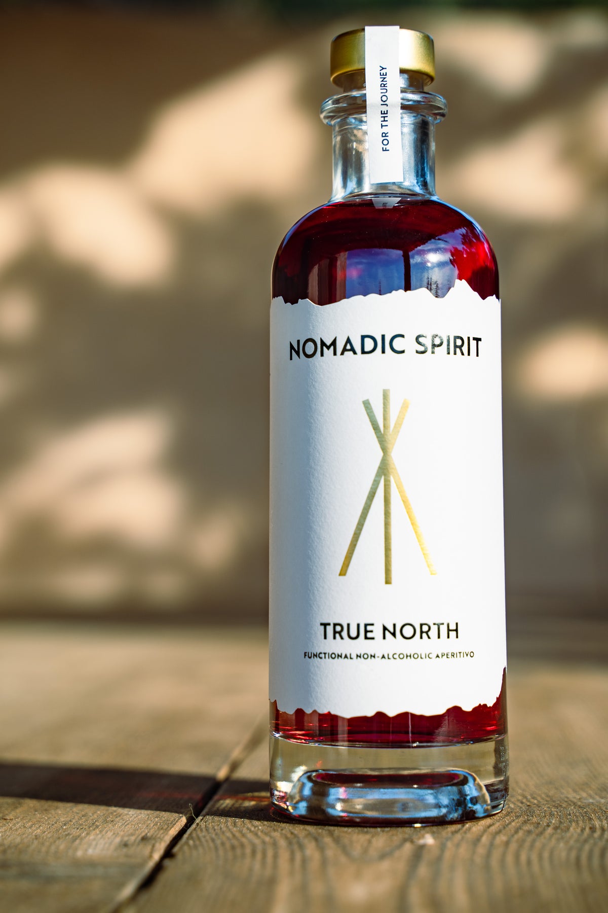True North