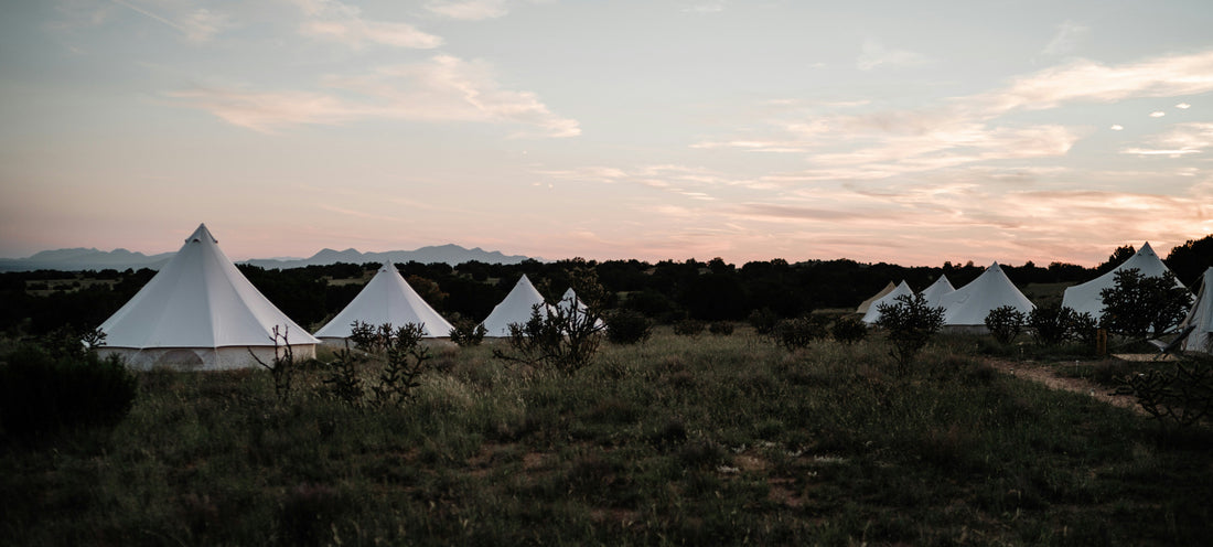 Canvas tents pitched among low trees as the light goes at the end of the day